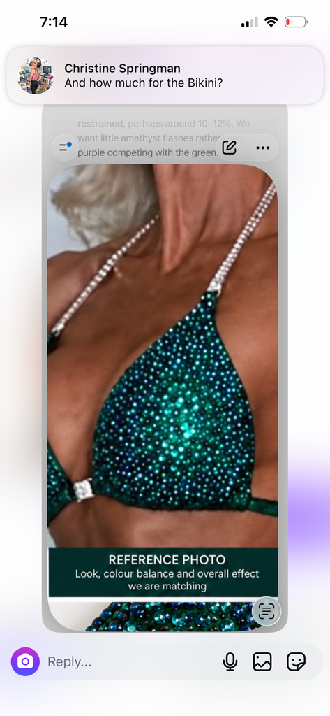 Christine emerald sparkle Fabric Suit needs to deliver before 28 October, #4 connectors. ￼ Front needs to be higher than last Suit (1/2 inch higher). Fully bling, butt