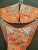 Custom Diamond Princess(Choose any color swatch/fabric) Competition Bikini