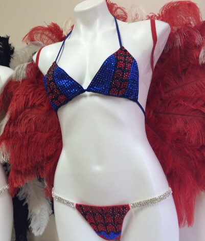 Custom Inspired Spider Woman and wings