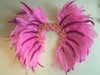 Custom Pink Hawiian Dream Themewear Bikini and wings $899 or bikini only $449.99