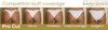 Custom Celebrity 16 (Choose any color swatch/fabric)Competition Bikini