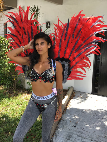 Dark Phoenix Theme wear Wings(mid size) custom any color combo (Bikini not included)