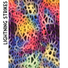 Swim and Competition (Sequin) Bikini Fabric Sample Swatches (8-10 per order) Matte PRINTS Part 3 of 4