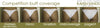 Black/Bronze Sparkle Trim Sequin (Conn#16 Gold AB)Micro Cheeky