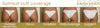Custom 2:1 Flip It Ravish Sands Exclusive (Monogram) Peach/Peaches***(SUIT SOLD PER PIECE OR SET, price varies)