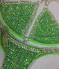 Custom DELUXE clear Trim Luxe Competition bikini with color Competition Bikini