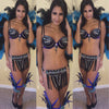 Custom Purple/Black/Blue Quick Ship Deluxe Themewear with wings $899 or bikini only $699