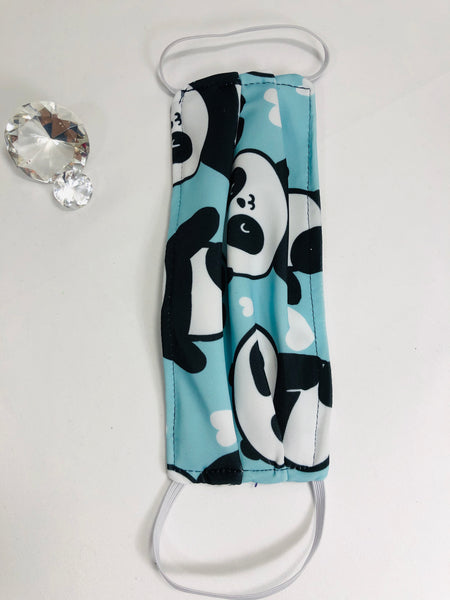 Washable Face mask (not hospital grade)