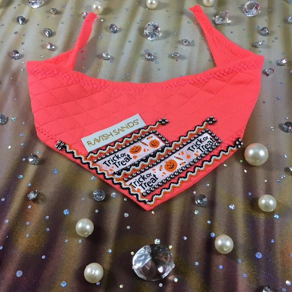 Ravish Pet Designer Halloween Rhinestone Scarf (neon coral/orange) $28.99