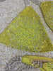 Custom Lily Starburst Deluxe with Color Crystal Upgrade Competition Bikini
